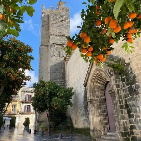 Sherryflat C/ Arcos Lägenhet Jerez de la Frontera