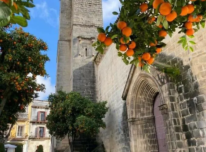 Sherryflat C/ Arcos Daire Jerez de la Frontera